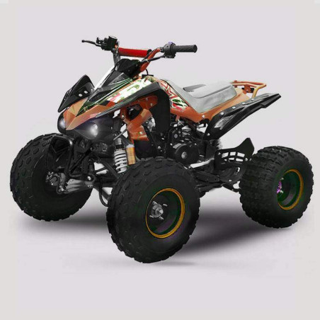 Mini Quad Automático 110cc