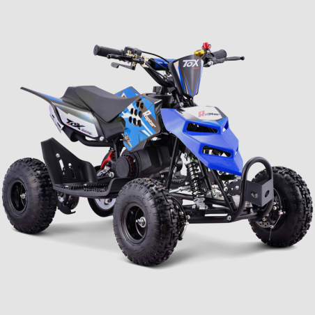 Mini Quad RAPTOR