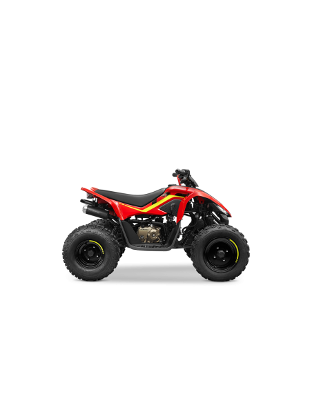 CFORCE 110
