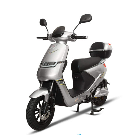 Acm Power ES-055